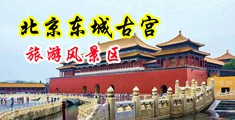 欧美日韩女人自慰被操逼出淫水中国北京-东城古宫旅游风景区